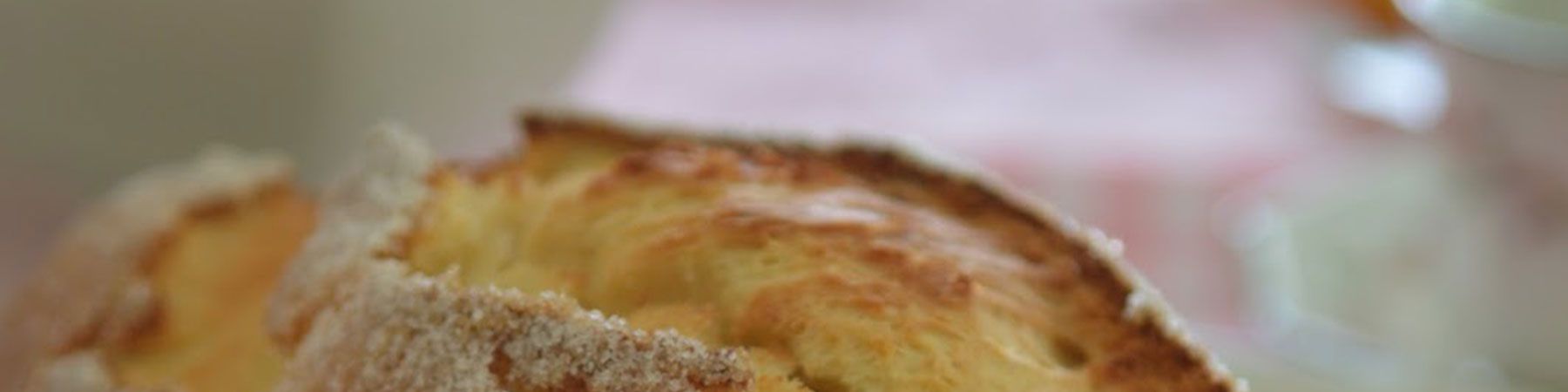 Canistron - Panette