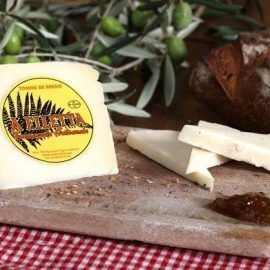 fromage corse -TOME CORSE