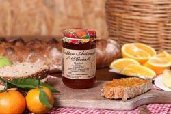 CONFITURE CORSE D'ABRICOTS GUIDICI