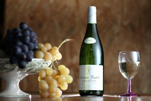 VIN BLANC DOMAINE DE GENTILE