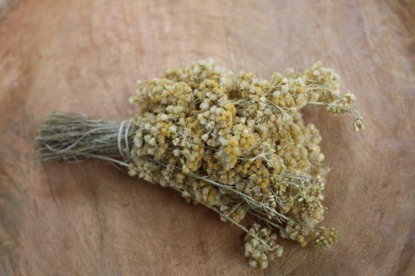 BOUQUET IMMORTELLE SÉCHÉE