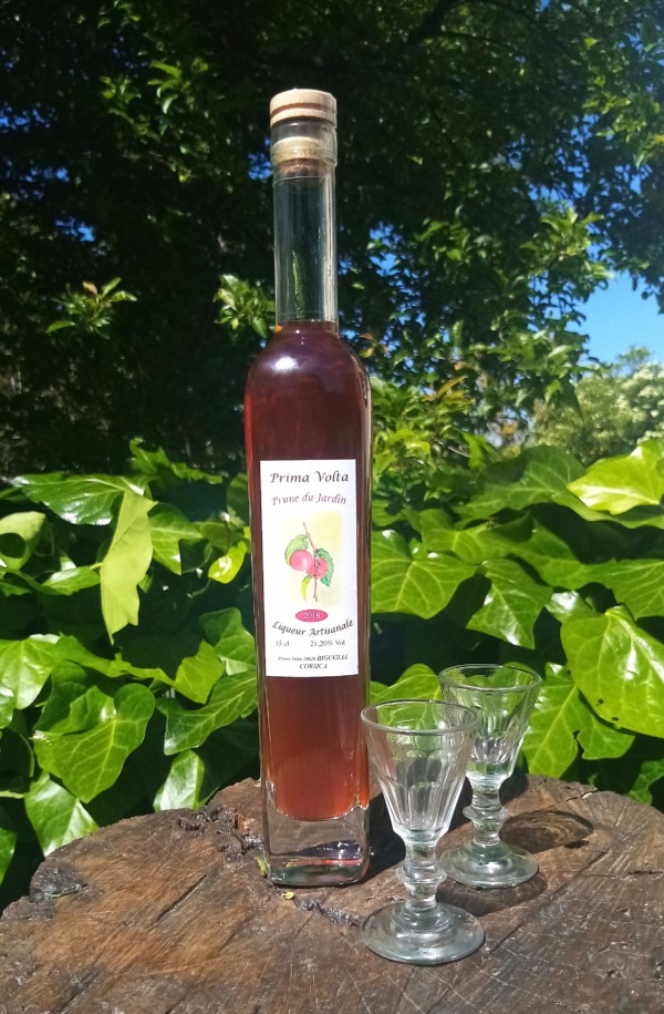 LIQUEUR DE PRUNE DU JARDIN 2018-21.20%-corse