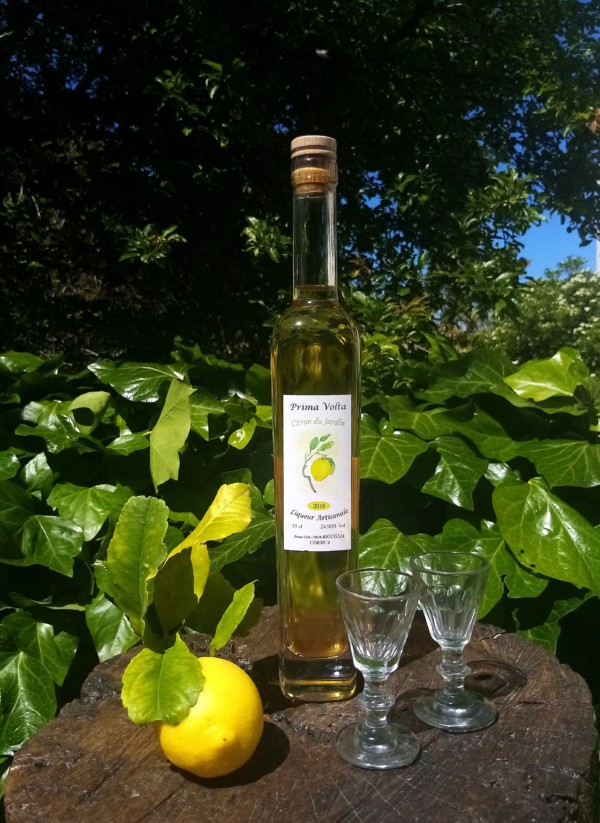 LIQUEUR CITRON DU JARDIN 2018/2019- 26.50%-corse