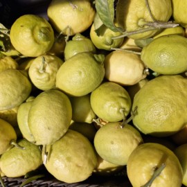 CITRON CORSE