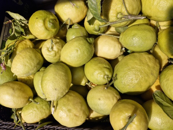 CITRON CORSE