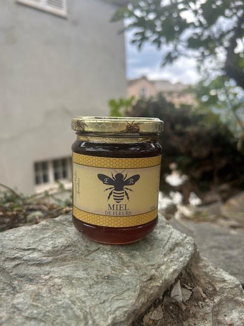 MIEL CORSE DE FLEURS DE PRINTEMPS 250 GR-corse MIEL CORSE DE FLEURS DE PRINTEMPS 250 GR